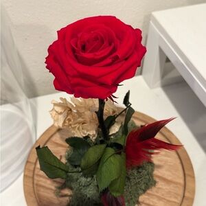 Elegant Red Rose Home Accent